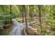 Scenic drive leading to an inviting home surrounded by lush greenery and mature trees at 2709 Blythe Rd, Waxhaw, NC 28173