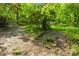 A pathway leading into a lot with trees and grass at 7949 Ritter Dr, Charlotte, NC 28270