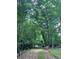 Heavily wooded and overgrown property with hidden potential at 7949 Ritter Dr, Charlotte, NC 28270