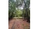 Heavily wooded and overgrown property with hidden potential at 7949 Ritter Dr, Charlotte, NC 28270