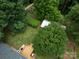 A private backyard features a wooden deck and well-maintained landscaping, perfect for outdoor living at 3042 Cresthill Dr, Charlotte, NC 28212
