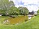 Community pond and fountain surrounded by lush greenery and mature trees at 4732 Water Oak Rd, Charlotte, NC 28211