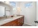 Bright bathroom featuring dual sinks, dark wood cabinetry, and plentiful natural light at 925 Westbrook Dr # B, Charlotte, NC 28202