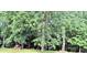 Lush, green backyard featuring mature trees and a picnic table at 7133 Tall Tree Ln, Charlotte, NC 28214