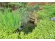 Backyard pond featuring beautiful plants and landscaping at 10449 Quiet Bay Ct, Charlotte, NC 28278