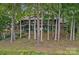 Large two-story house surrounded by mature trees with a partial stone foundation at 145 Hunters Pointe Ln, Mooresville, NC 28117