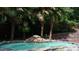Private pool featuring a rock waterfall and lush tropical landscaping creates a backyard oasis at 8218 Houston Ridge Rd, Charlotte, NC 28277