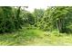 A tranquil wooded backyard featuring mature trees and ground cover with a verdant, natural aesthetic at 119 Wade Dr, Kings Mountain, NC 28086
