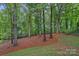 Spacious backyard featuring mature trees, a well-maintained lawn, and a path lined with pine straw at 20312 Deep Cove Ct, Cornelius, NC 28031