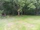 Expansive backyard with lush greenery and mature trees, offering privacy and natural beauty at 12 Watts St, York, SC 29745