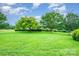 Expansive front yard showcasing the house with lush green grass, mature trees, and manicured landscaping at 1410 Patterson St, China Grove, NC 28023
