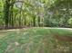 Expansive backyard showcasing lush green grass, mature trees, and partial fencing for privacy at 1518 Appaloosa Way, Gastonia, NC 28056