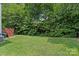 Expansive backyard with lush green lawn and mature trees, offering plenty of space for outdoor activities and relaxation at 19746 Valiant Way, Cornelius, NC 28031