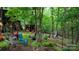 Wooded backyard area with rustic outbuilding and lush greenery at 2951 Evergreen Trl, Vale, NC 28168