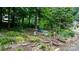Landscape in the backyard with stone steps, greenery, and wooded surroundings at 2951 Evergreen Trl, Vale, NC 28168