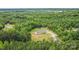Breathtaking aerial view of a cozy home surrounded by dense green trees, offering privacy and tranquility at 4518 Logging Rd, Lancaster, SC 29720
