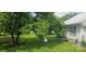 Expansive backyard featuring mature trees and a propane tank at 804 N Main St, Oakboro, NC 28129