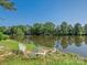 Scenic backyard featuring a tranquil pond and white metal outdoor chairs at 8208 Cedar Glen Dr, Charlotte, NC 28212