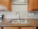 Close-up view of a stainless steel kitchen sink with modern fixtures and granite countertops at 9564 Kings Parade Blvd, Charlotte, NC 28273