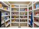Walk-in pantry with ample shelving for organized storage at 102 Rosewood Ln, Locust, NC 28097