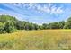 Scenic view of land featuring a field with a transmission tower in the background at 117 Autumn Woods Dr, Kings Mountain, NC 28086