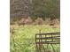 Image of deer grazing in a field behind a rustic metal fence at 117 Autumn Woods Dr, Kings Mountain, NC 28086