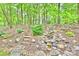 Lush backyard featuring a landscaped hillside, stone creek bed, and brick steps at 1230 Somersby Ln, Matthews, NC 28105