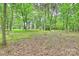 Serene backyard with trees, natural landscaping, and a distant shed, offering a peaceful retreat at 1230 Somersby Ln, Matthews, NC 28105