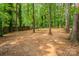 Large, flat backyard with mature trees and a wooden fence at 1401 Hillwood Ct, Charlotte, NC 28210