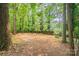 Expansive backyard offering serene privacy with mature trees and a fence at 1401 Hillwood Ct, Charlotte, NC 28210