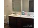 Bright bathroom featuring double sinks, dark cabinets, large mirrors, and a neutral color palette at 211 Hidden Lakes Rd, Statesville, NC 28677