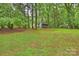 Grassy backyard area with a small shed surrounded by tall trees at 2301 Seth Thomas Rd, Charlotte, NC 28210