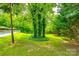 Picturesque backyard view showcasing mature trees, well-manicured lawn, and outdoor pool at 4712 Amberside Dr, Rock Hill, SC 29732
