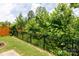 The backyard offers a lush green space bordered by a wood and metal fence at 679 Cape Fear St, Fort Mill, SC 29715