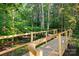 Wooden walking trail surrounded by lush greenery and mature trees, perfect for nature walks at 9429 Ridgeforest Dr, Charlotte, NC 28277