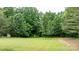 Green backyard featuring trees and a shed at 2843 Hopewell Church Rd, Sherrills Ford, NC 28673