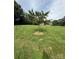 Expansive lawn with a young tree and a distant view of the brick home at 28835 Hartsell Rd, Albemarle, NC 28001