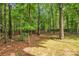 Wooded backyard featuring mature trees and natural foliage, offering a serene and private outdoor space at 4502 Magnolia Ridge Dr, Waxhaw, NC 28173