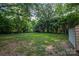 Expansive backyard featuring a lush green lawn and mature trees, offering privacy and a serene outdoor space at 143 Hallman St, Cherryville, NC 28021