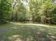 Picturesque view of the wooded yard, offering a serene and private outdoor space at 157 Old Hearth Rd, Clover, SC 29710