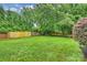 A sprawling backyard with a combination of wood and brick fencing, mature trees, and a vibrant green lawn at 1961 Runnymede Ln, Charlotte, NC 28211