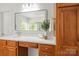 Stylish bathroom boasts wood cabinets, bright vanity, mirror and greenery, creating a spa-like retreat at 11139 Tradition View Dr, Charlotte, NC 28269