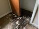 Shows a closet with damaged hardwood floors and white trim at 1769 S Nc 16 Hwy, Denver, NC 28037