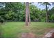 Spacious backyard featuring lush green grass and scattered trees at 2108 Twin Ave, Gastonia, NC 28052