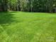 Expansive, green backyard featuring mature trees and a well-maintained lawn at 2777 Old South Nw Ct, Concord, NC 28027