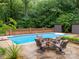 Backyard pool surrounded by lush greenery and mature trees, perfect for outdoor enjoyment at 5109 Goldcrest Dr, Indian Trail, NC 28079