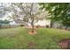 Expansive backyard featuring an open lawn, mature tree, and privacy fence at 5436 Scarlet Sage Dr, Charlotte, NC 28215