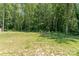 Wide shot of the backyard featuring a grass lawn and a backdrop of tall, dense trees at 2705 Enon Church Rd, Salisbury, NC 28147
