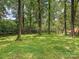 Lush green backyard with mature trees providing shade and privacy, enhancing the landscape at 828 Colville Rd, Charlotte, NC 28207