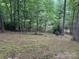 Beautiful backyard with mature trees and a carpet of green moss at 0000 Woodhill Cove Ln # 5, Denver, NC 28037